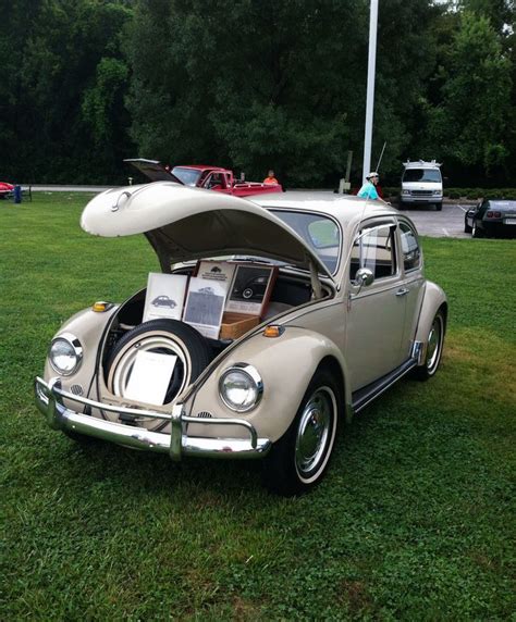 Kevin Gabor S L Savanna Beige Beetle Vw Beetle