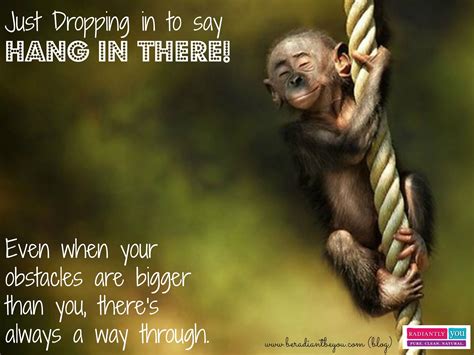 Monkey Quotes Images Shortquotescc