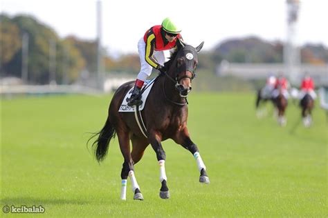 アスコルティアーモ Ascoltiamo 競走馬データベース 競馬ラボ