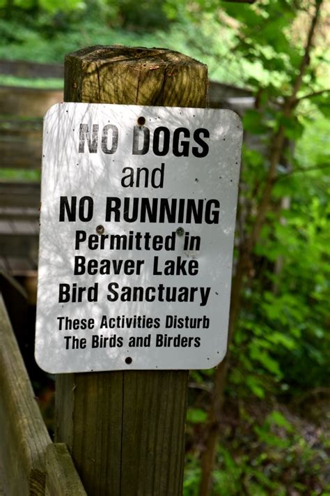 Sign Beaver Lake Bird Sanctuary Ncwetlands AM 8 Free Photos On