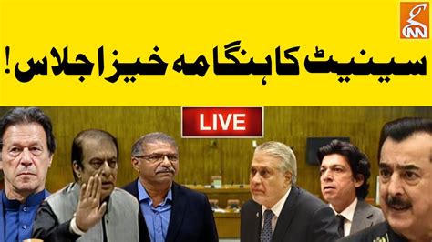 LIVE Heated Debate In Senate Session Govt Vs PTI GNN YouTube