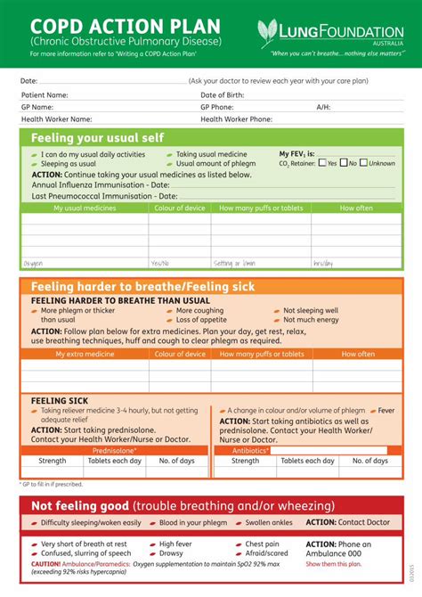 Pdf Lfa Copd Action Plan Pdf Filecopd Action Plan Chronic