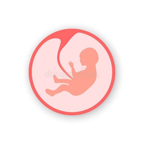 Baby In De Baarmoeder Foetus Symbool Embryo Ontwikkeling Ge Soleerd