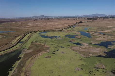 Declaran al Lago de Texcoco como Área Natural Protegida