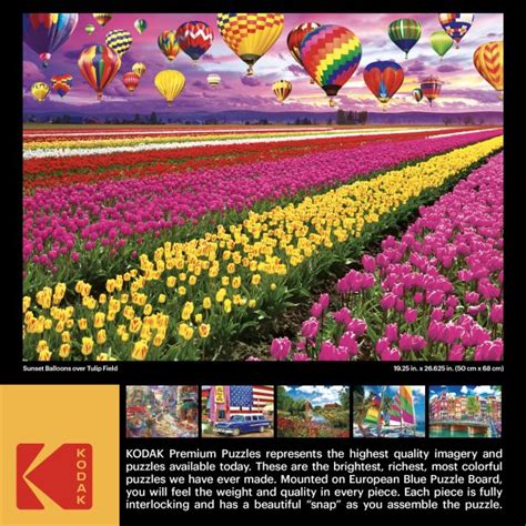 RoseArt Kodak Premium Sunset Balloons Over Tulip Field