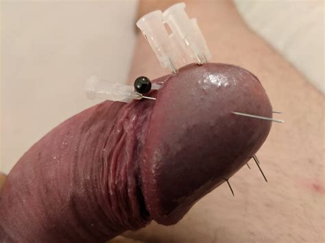 Cock Head Piercing Needle Fetish Cbt Pics Xhamster