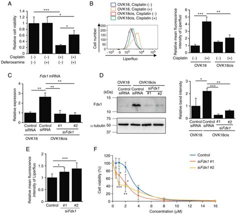 Expression Of Ferredoxin1 In Cisplatinresistant Ovarian Cancer Cells