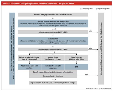 Herzinsuffizienz Altbew Hrte Und Neue Therapien Rzte Krone