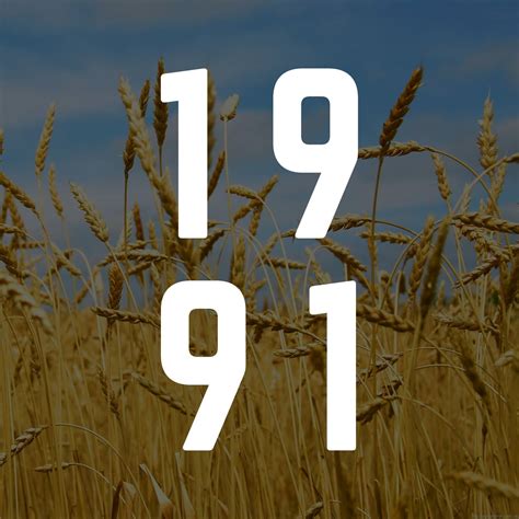 Країна 1991