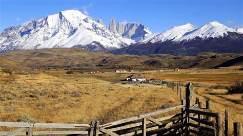 The Lord Of The Patagonian Steppe Borispatagonia