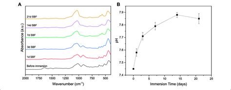 A Ftir Spectra Of Zein Mh Coated Bg Scaffolds Before And After Download Scientific