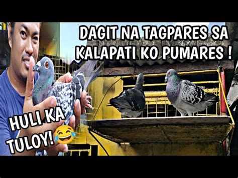 DAGIT NA TAGPARES SA KALAPATI KO PUMARES NAHULI KO TULOY YouTube