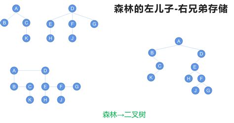 【数据结构】树与二叉树（十九）：树的存储结构——左儿子右兄弟链接结构（树、森林与二叉树的转化） Csdn博客