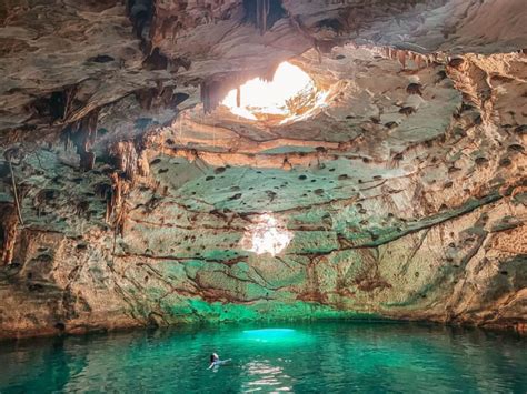 Los Cenotes De Hom N Explora Las Joyas De La Naturaleza En Yucat N