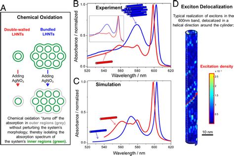 Absorption Spectra Of Building Blocks And Exciton Delocalization A