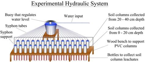 Schematic Drawing Of The Soil Columns Inside Polyvinyl Chloride Pvc