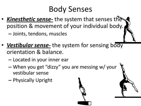 Other Senses Smell Taste Skin And Body Senses Ppt Download