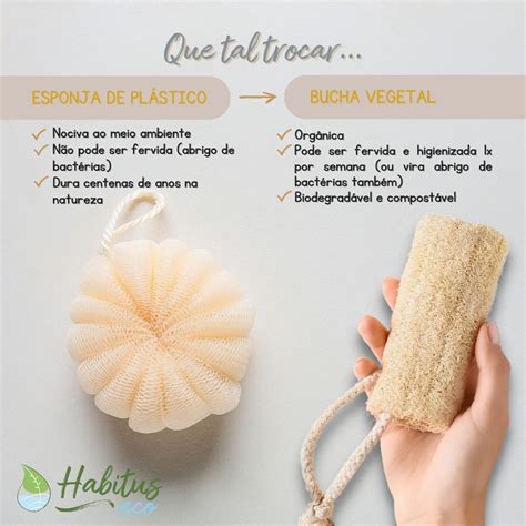 Loja De Produtos Sustent Veis On Instagram Que Tal Trocar A Esponja