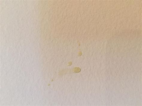 Yellow Water Stains On Bathroom Walls Artcomcrea