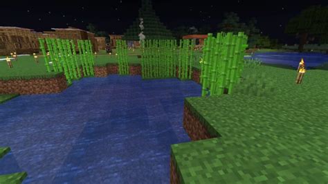 Cómo cultivar caña de azúcar rápidamente en Minecraft