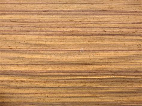 Natural Light Burma Teak Wood Texture Background Light Burma Teak