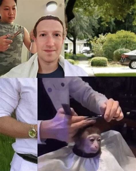 Zuckerberg haircut | Monkey Haircut | Memes, Funny memes, Know your meme