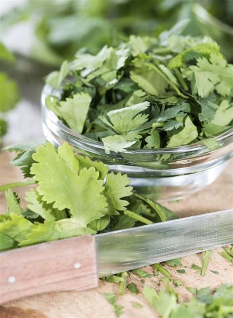 Cilantro Tea Health Benefits Cilantro Benefits Tea