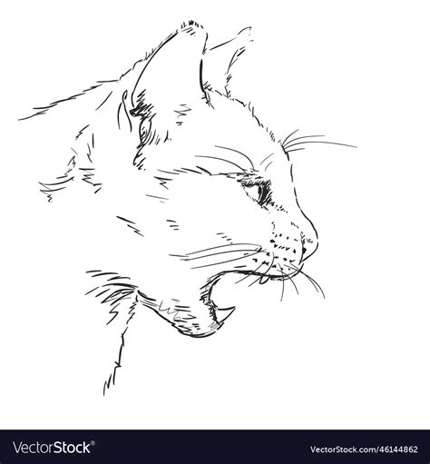 Evil cat sketch hand drawn Royalty Free Vector Image