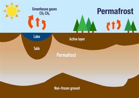 380+ Melting Permafrost Stock Photos, Pictures & Royalty-Free Images - iStock