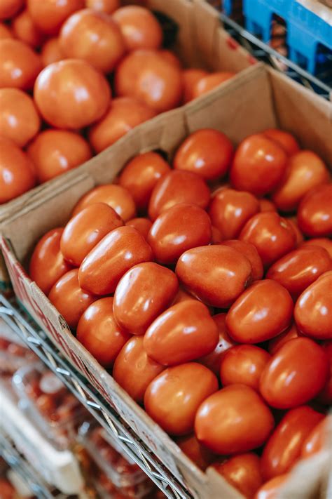 Waarom Verse Groenten Essentieel Zijn Voor Gezonde Voeding En Hoe Jouw