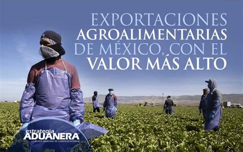 Exportaciones Agroalimentarias De M Xico Con El Valor M S Alto