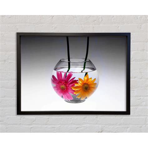 Ebern Designs Gerbera Fishbowl Schwarz und Weiß Einzelner