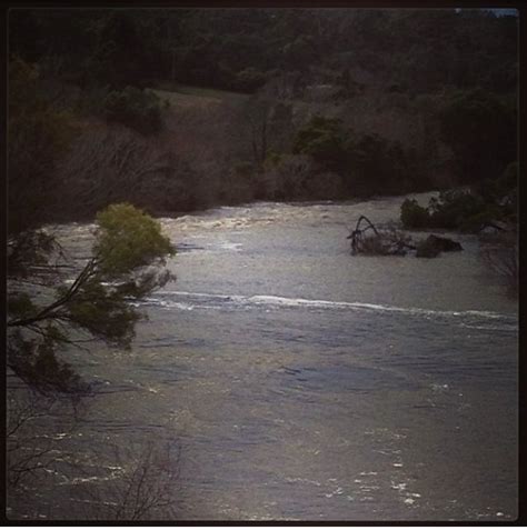 The Perth river in flood .. | Country roads, River, Tasmania