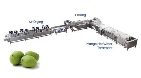 Mango Hot Water Treatment Plant Continues Type