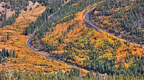 Trail Ridge Road Colorado 2024 - Go Travel Colorado