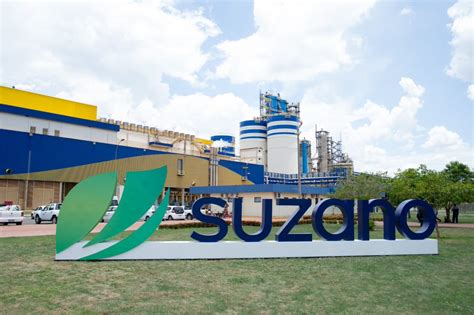 Suzano é eleita a melhor empresa do setor de papel e celulose em