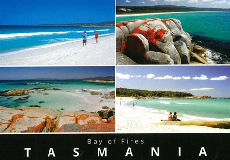 Bay Of Fires East Coast Tasmania Postcard Tasmanian Postcards