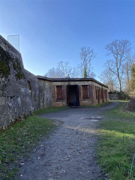 Box Hill Fort Photograph Joanna Van Der Lande Dorking Museum