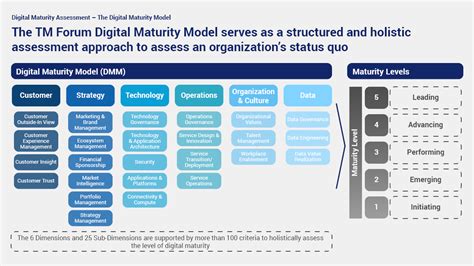 The Digital Maturity Model