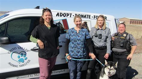Chino Valley Animal Shelter Depends On Volunteers Flagstaff Business News