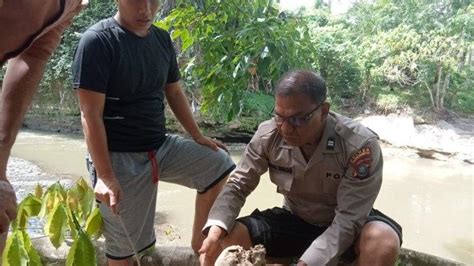 Petani Temukan Tengkorak Manusia Di Kebun Pinggir Sungai Batang Angkola