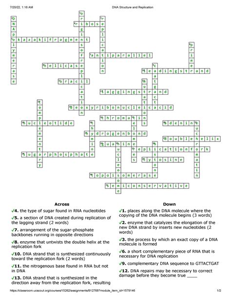 S Assignment Dna Structure And Replication Crossword Puzzle