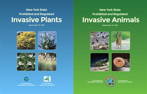 Invasive Species Awareness Week: Terrestrial Tuesday | Soil & Water