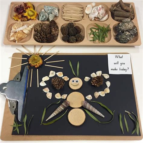 A Tray Filled With Different Types Of Rocks And Plants