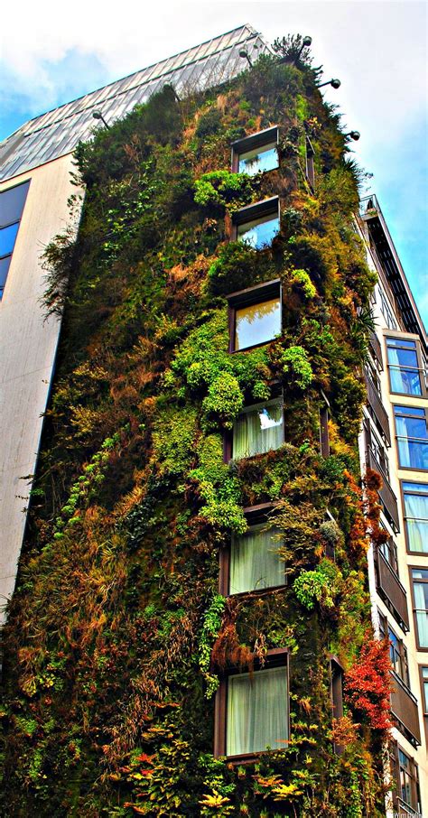 Green Facade Green Facade Green Architecture Landscape Design