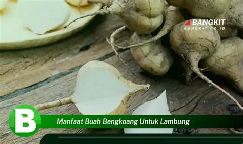 Temukan Manfaat Buah Bengkoang Untuk Lambung Yang Wajib Kamu Tau