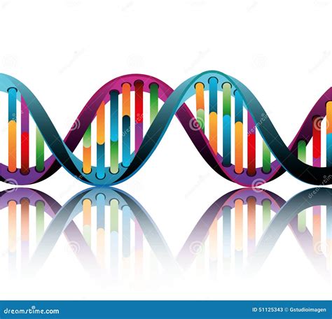 Dna Design Vector Illustration Stock Vector Illustration Of Vector Evolution 51125343