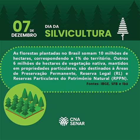 Dia da Silvicultura Setor florestal cresce e gera renda para o país