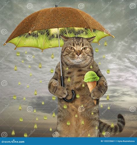 Cat With A Kiwi Umbrella Stock Illustration Illustration Of Holding