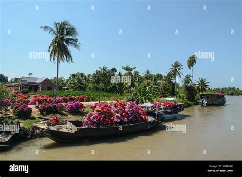 Sa Dec, Vietnam - Jan 31, 2016. Wooden boats carrying flowers on the ...